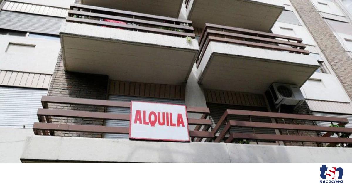 Inmobiliarias Aseguran Que Habr M S Oferta De Inmuebles Para Alquilar