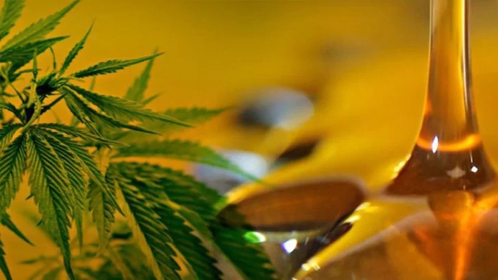 Las farmacias bonaerenses venderán aceite de cannabis para la epilepsia