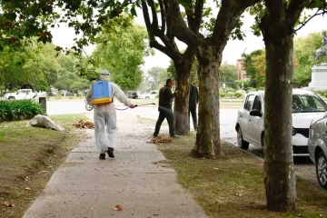 El municipio comenzó a fumigar ante la invasión de mosquitos