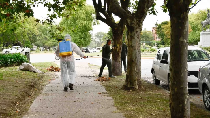 El municipio comenzó a fumigar ante la invasión de mosquitos