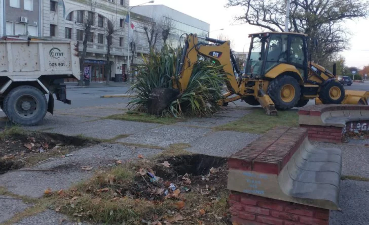 Trasladan las plantas de las dársenas del centro