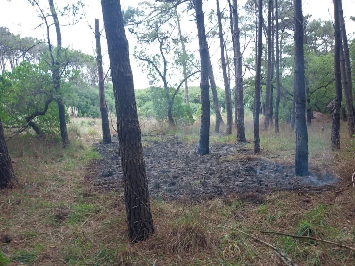 Estarían identificados los autores de los cinco incendios del parque