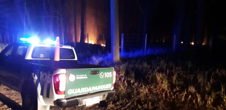 Un ritual religioso provocó un principio de incendio en el Parque Miguel Lillo