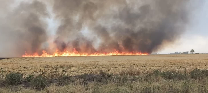 Varios incendios en la ciudad