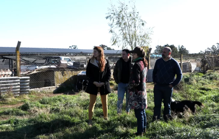 Proyectan remodelar la guardería canina