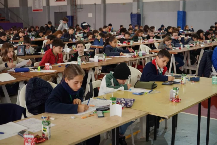 Más de 300 alumnos participan de las Olimpíadas Matemáticas Ñandú