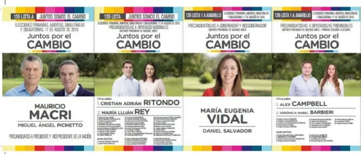 Vidal prescindió de Salvador en su boleta electoral