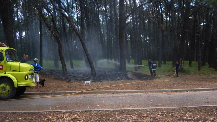 Ejecutan plan para prevenir futuros incendios en el Parque Miguel Lillo