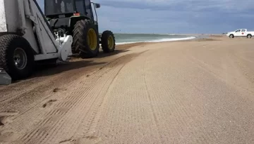 Realizan limpieza de playa en Quequén