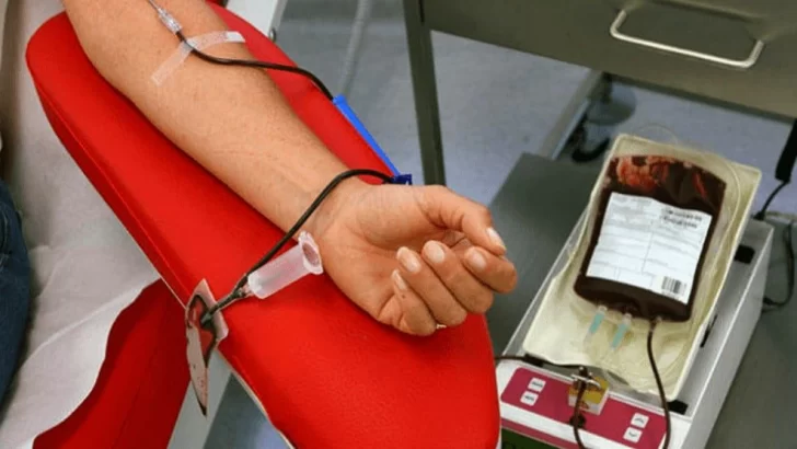 Colecta de sangre para la inscripción al registro de donantes de médula