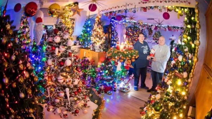 Un alemán tiene en su casa alrededor de 350 árboles de Navidad