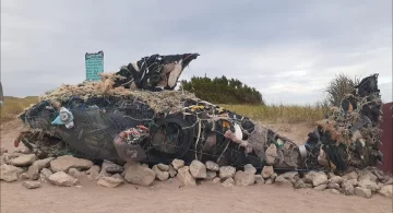 El gran pez de Costa Bonita, construido con la basura que juntaron de la playa