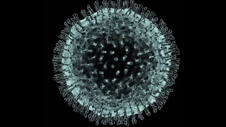 Alerta por un caso sospechoso de coronavirus en el sur de Chile