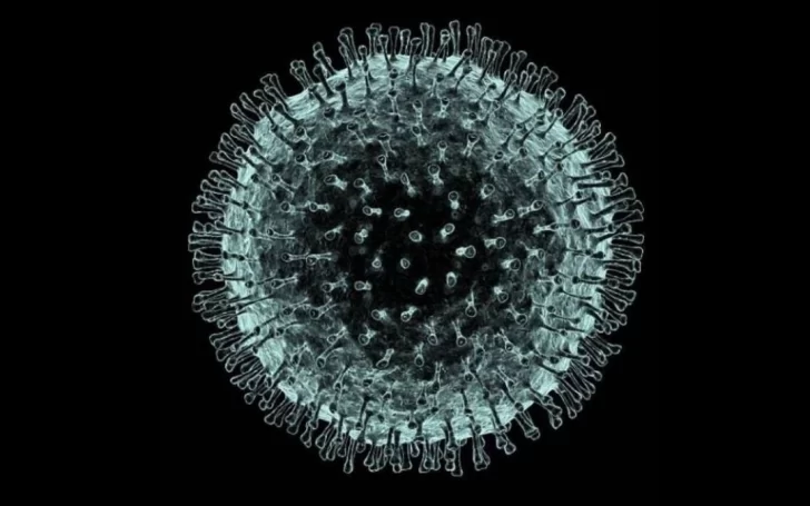 Alerta por un caso sospechoso de coronavirus en el sur de Chile
