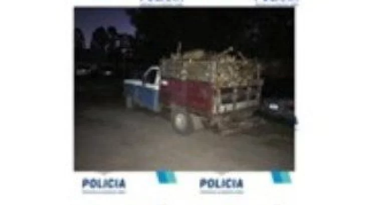 Policía intercepto vehículos que llevaban leña sin documentación