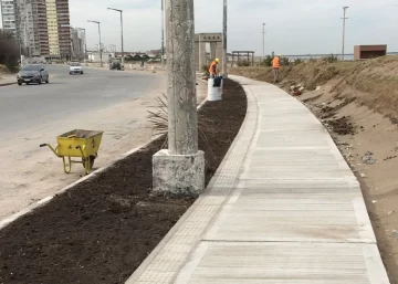 Avanza la obra de remodelación de la avenida 2