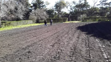 Plantaron 2470 árboles en sectores del Parque Miguel Lillo