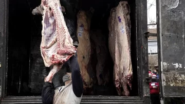 Habilitaron el troceo y la descarga mecánica para la comercialización de carne vacuna