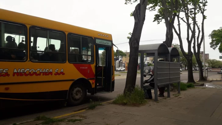 Transporte urbano: las empresas piden que el boleto pase de 28 a 75 pesos