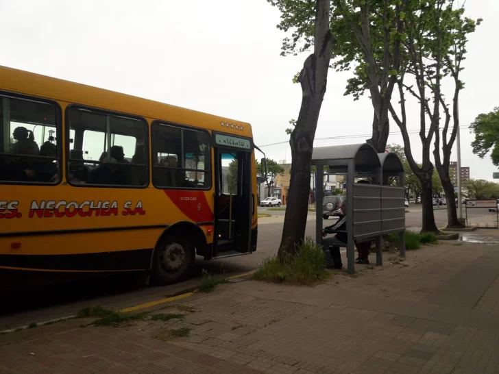 Transporte urbano: las empresas piden que el boleto pase de 28 a 75 pesos