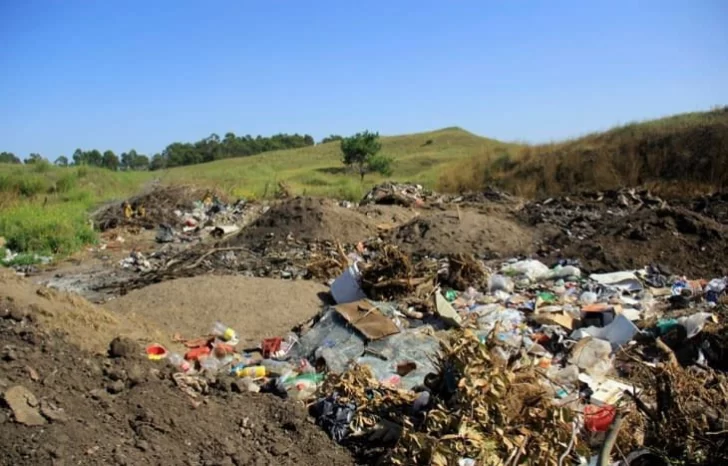 Piden que el Concejo declare la emergencia ambiental