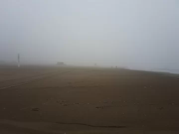 Densa niebla sobre la playa