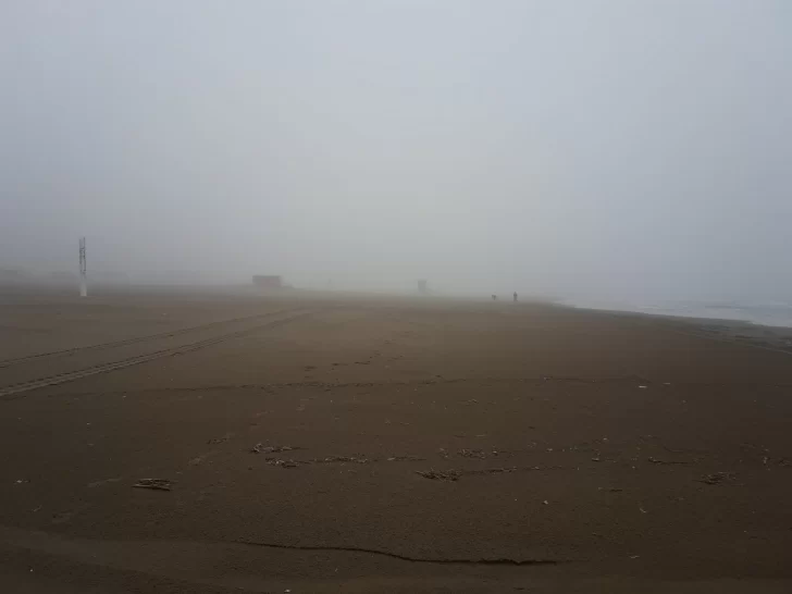 Densa niebla sobre la playa