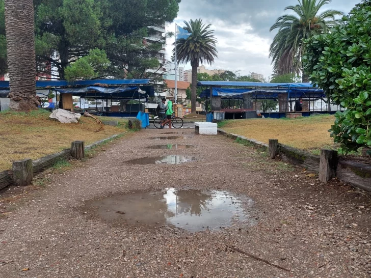 Lluvia necesaria: ya cayeron más de 12 milímetros