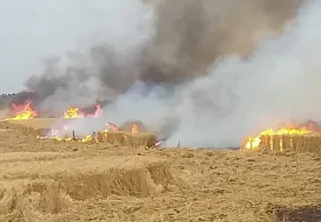 Controlan incendio en un campo