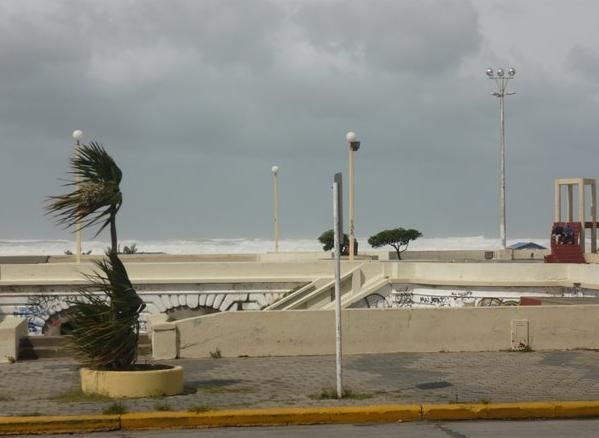 Alerta por vientos intensos con ráfagas para Necochea y la zona