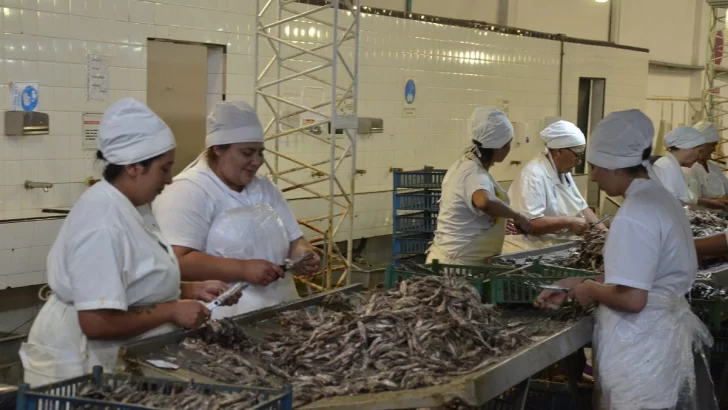 Engraucoop: cientos de puestos laborales en la cooperativa de Quequén