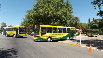 Hay principio de acuerdo y se levantaría el paro de colectivos