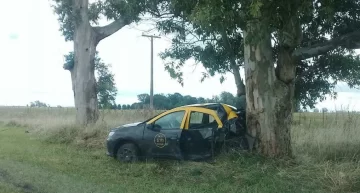 Un taxi chocó un árbol en la Ruta 88