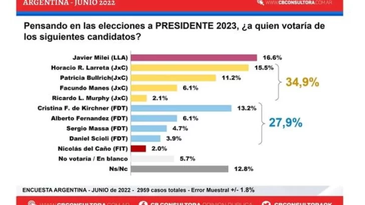 Milei y Juntos los más elegidos en una encuesta