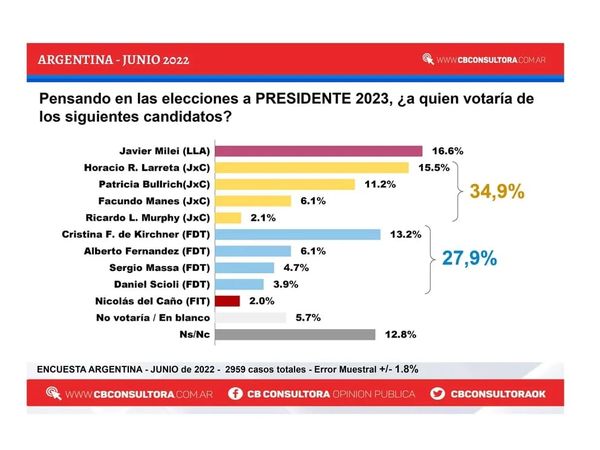 Milei y Juntos los más elegidos en una encuesta