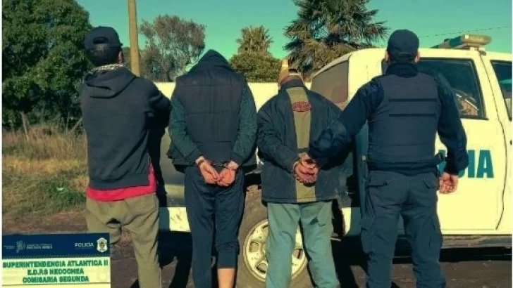 Quedaron detenidos los ladrones del Barrio Privado
