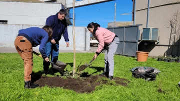Celebrando el Día del Árbol, Puerto Quequén plantó ejemplares en sus jardines internos