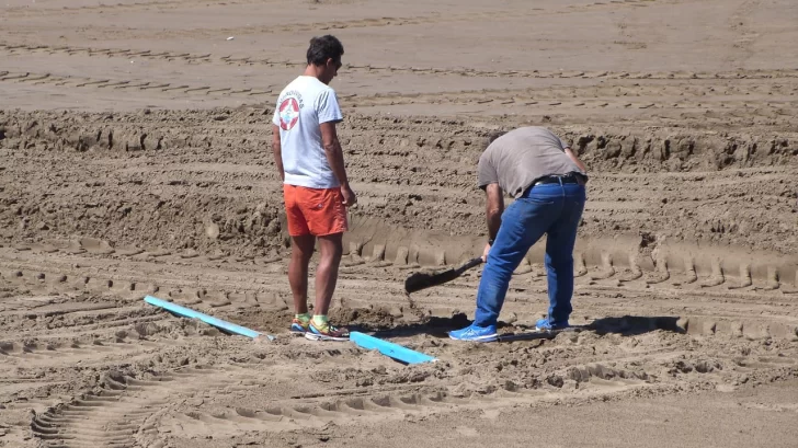 Video: Enterraron a la ballena que apareció en la playa