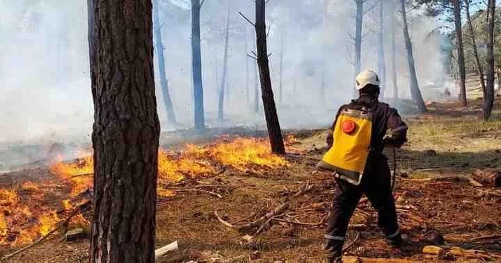 Hay alerta por incendios forestales, pero se esperan lluvias