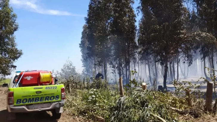 Incendio en un campo de la ruta 86