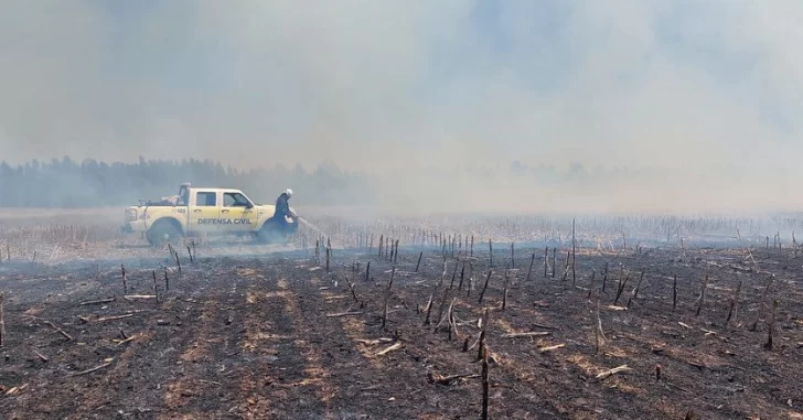 Incendio forestal en un campo de ruta 86