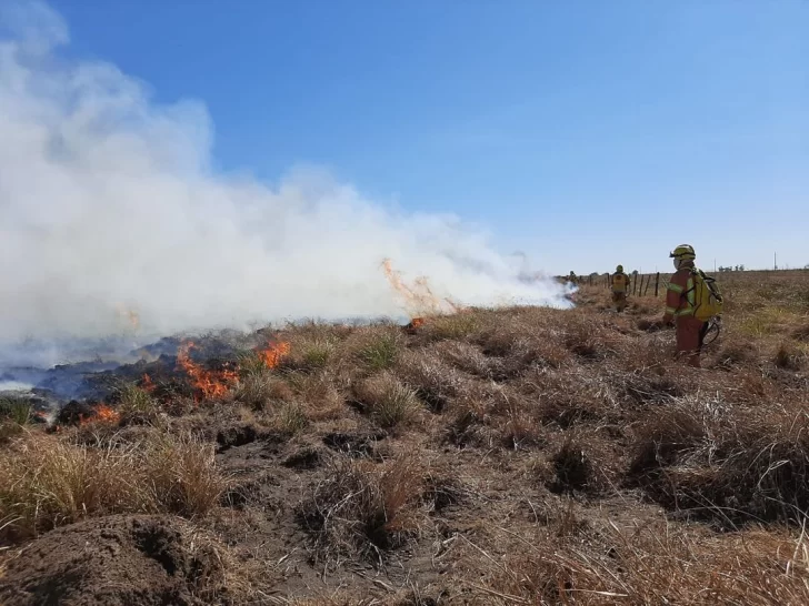 Bomberos harán sonar sus sirenas en repudio a los dichos del Vice Ministro de Ambiente