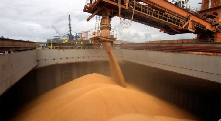Una resolución del Ministerio de Agricultura interviene las exportaciones de maíz y trigo