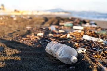 Más del 70% de los residuos en playas bonaerenses son plásticos