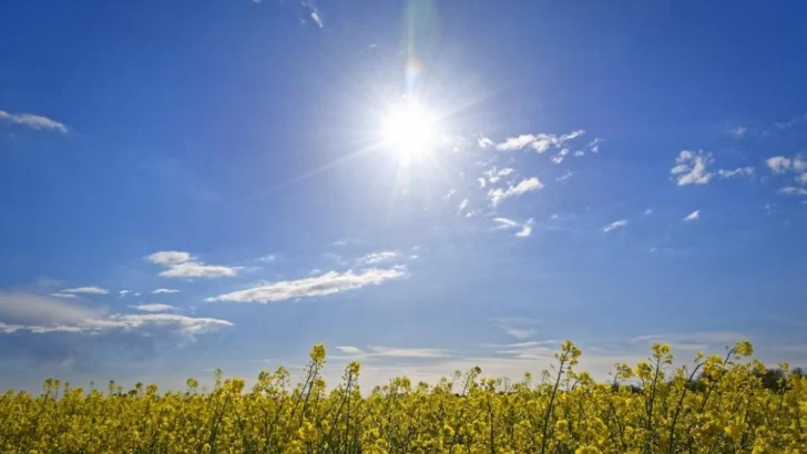 Se espera clima más cálido de lo normal para los próximos tres meses