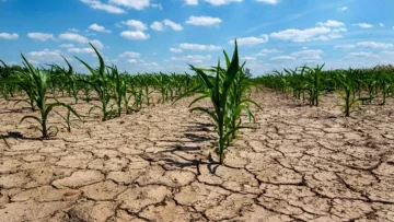Especialistas estiman que por la sequía se perderán US$ 20.000 millones en exportaciones