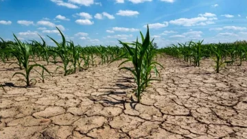 Avanza la declaración de emergencia agropecuaria para el distrito