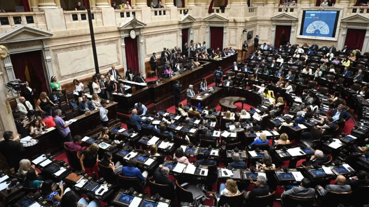 La Cámara de Diputados convirtió en ley el proyecto de moratoria previsional