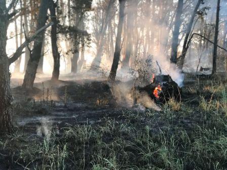 Nuevo incendio en la Ruta 86: cortan el paso de vehículos