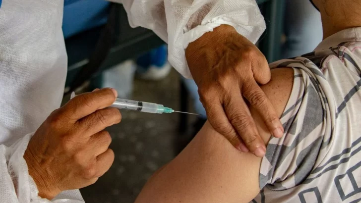 Empezaron a llegar las primeras dosis de vacunas antigripales